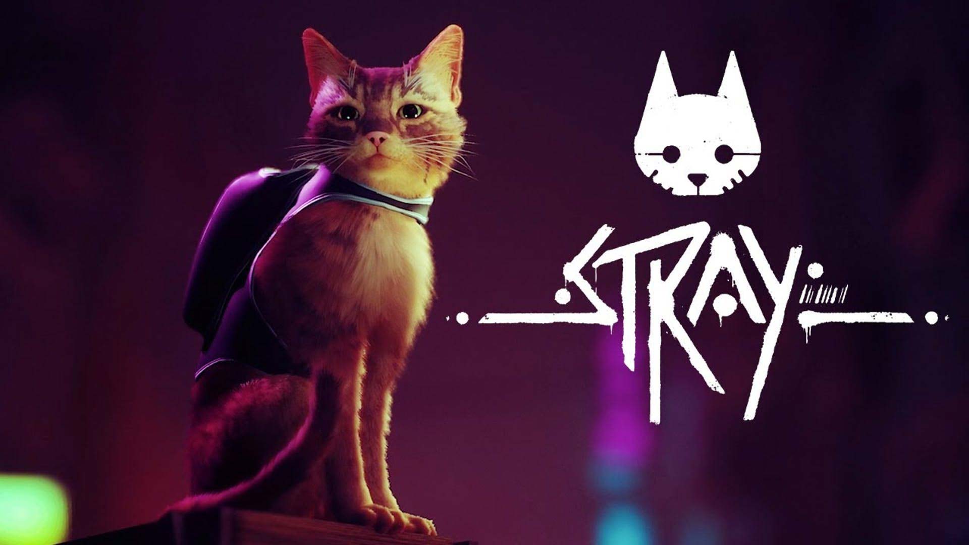 Stray' Review