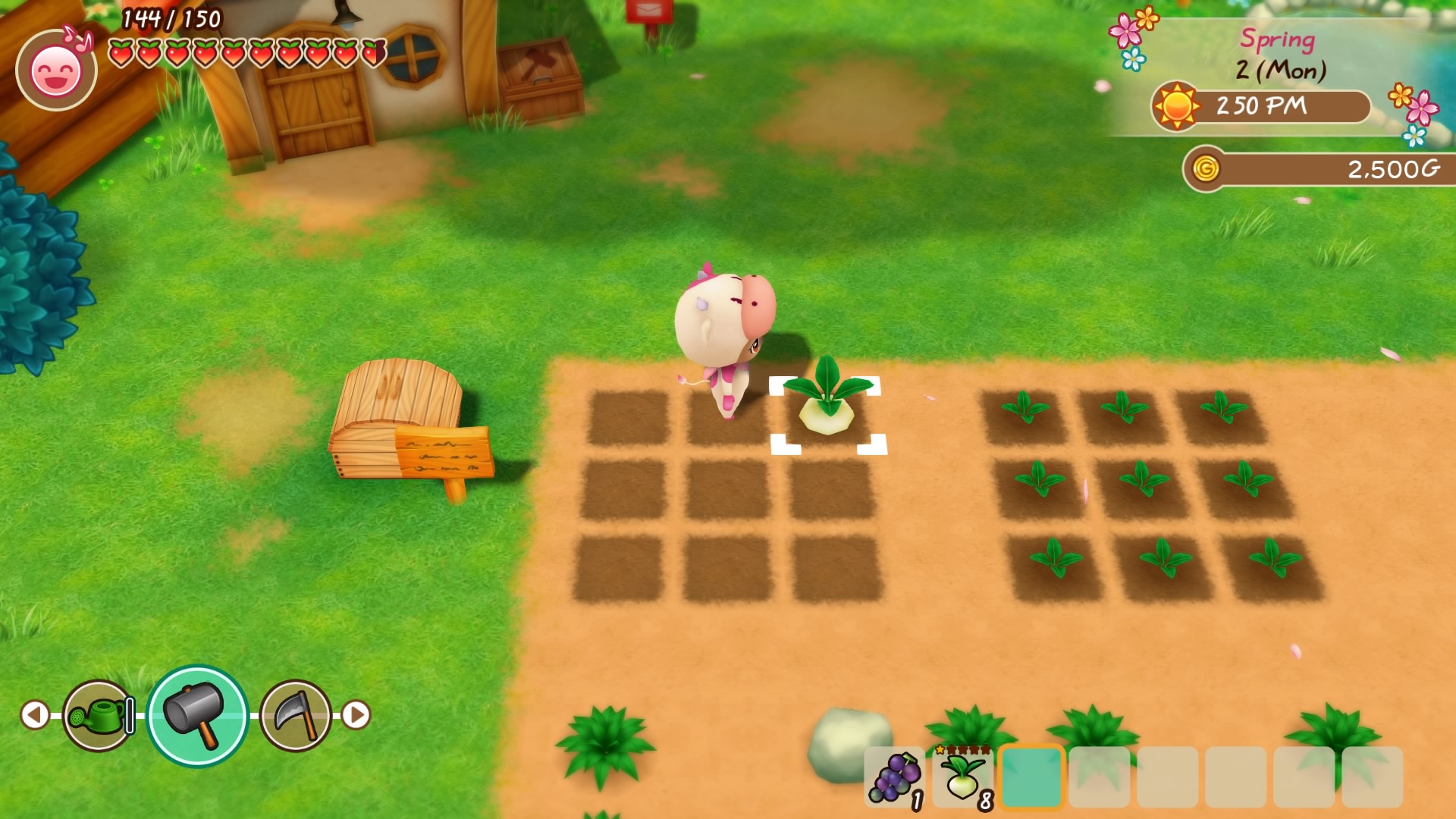 Story Of Seasons Friends of Mineral Town Review Friendship is forever