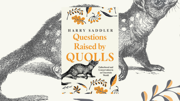 Quolls