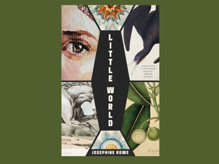 The cover of Little World has a collage of semi realistic drawn images, including a woman's eye, a swooping bird, the running legs of a horse and a plant with green fruit. The title runs down the centre in a black coffin shape and the author's name Josephine Rowe is across the bottom part of the image