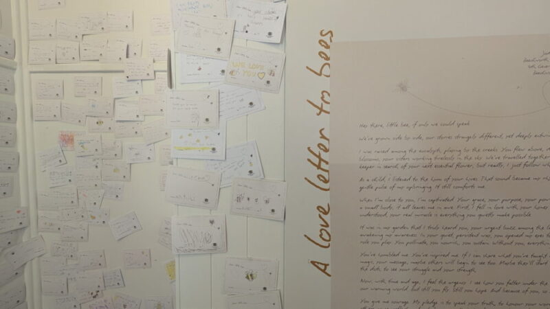 Love letters to bees