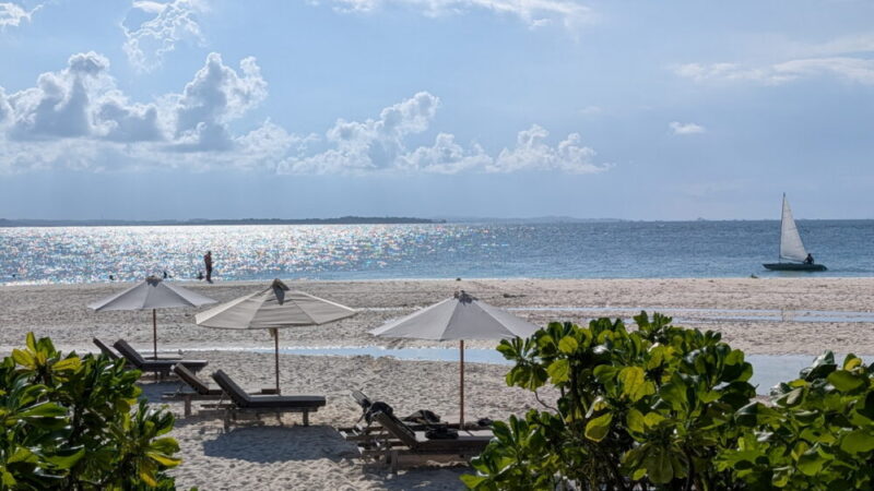 Nikoi Island Sailing - Old Mate Media