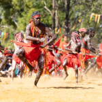 Red Kite Dancers