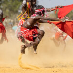 Red Kite Dancers