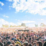 Ball Park's Crowd Ball Park's Crowd