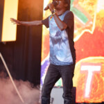 King Stingray King Stingray