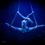 Blanc de Blanc Encore