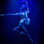 Blanc de Blanc Encore