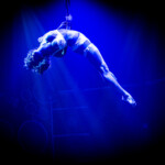 Blanc de Blanc Encore