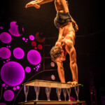 Blanc de Blanc Encore