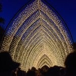 Cathedral of light