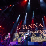 Goanna