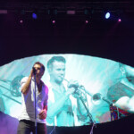 The Cat Empire