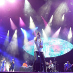 The Cat Empire