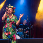 The Bamboos