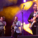 The Bamboos