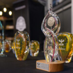 Beer and BBQ Festival