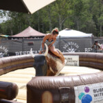 Bucking Bronco Bucking Bronco