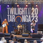 Dead Witch Dead Witch