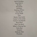 Marlon Williams Setlist Marlon Williams Setlist