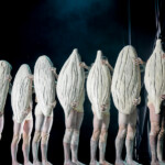 Bangarra Dance Theatre