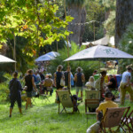 Womadelaide