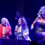 Tina Turner Tribute