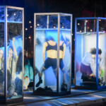 Elephant's Laugh - Muljil Elephant's Laugh - Muljil