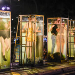 Elephant's Laugh - Muljil Elephant's Laugh - Muljil