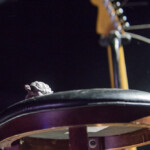 Psychedelic Porn Crumpets