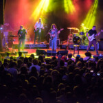 Psychedelic Porn Crumpets