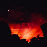 Jungle at Festival Hall, Melbourne.