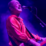 Hoodoo Gurus