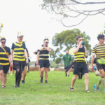 Meredith Music Festival