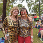 Meredith Music Festival