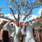 Meredith Music Festival