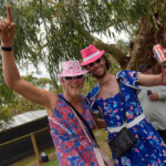 Meredith Music Festival