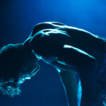 Bangarra Dance Theatre