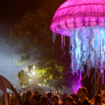 The Jellyfish meeting spot The Jellyfish meeting spot