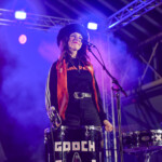 Gooch Palms