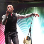 Ziggy - 50 years of Bowie