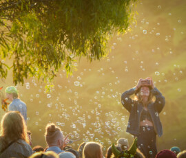 Meredith Music Festival