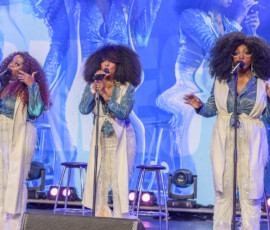 Meredith Music Festival