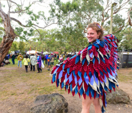 Meredith Music Festival
