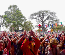 Meredith Music Festival