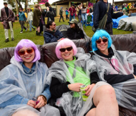 Meredith Music Festival