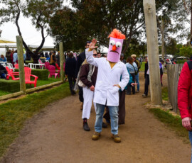 Meredith Music Festival