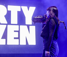 Party Dozen