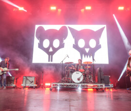 Ratcat