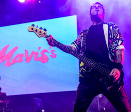 The Maviss